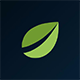 Bitfinex Cryptoexchange Bitfinex}